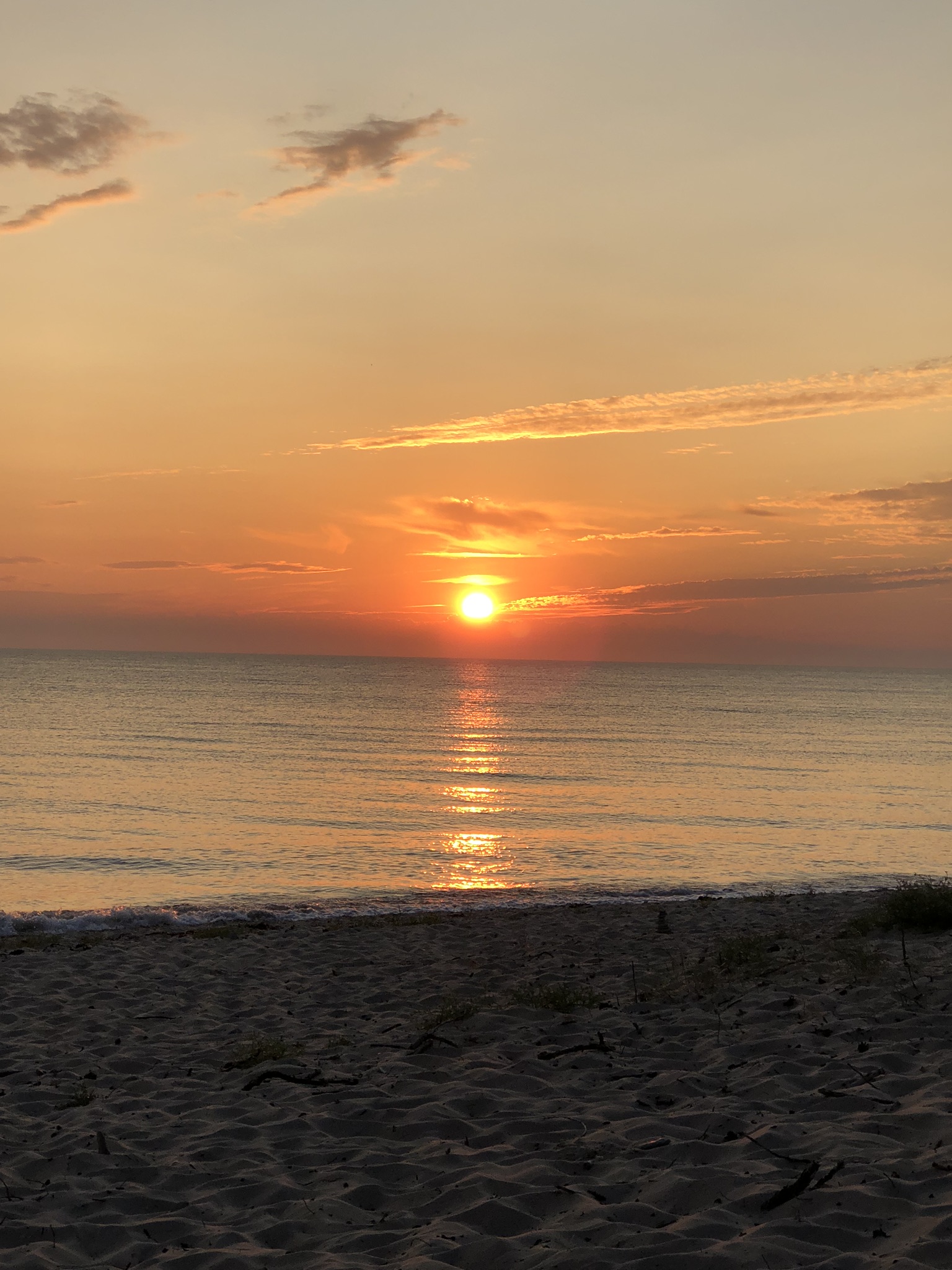 FCE09A14-E77A-47AE-9A1C-508E56504836